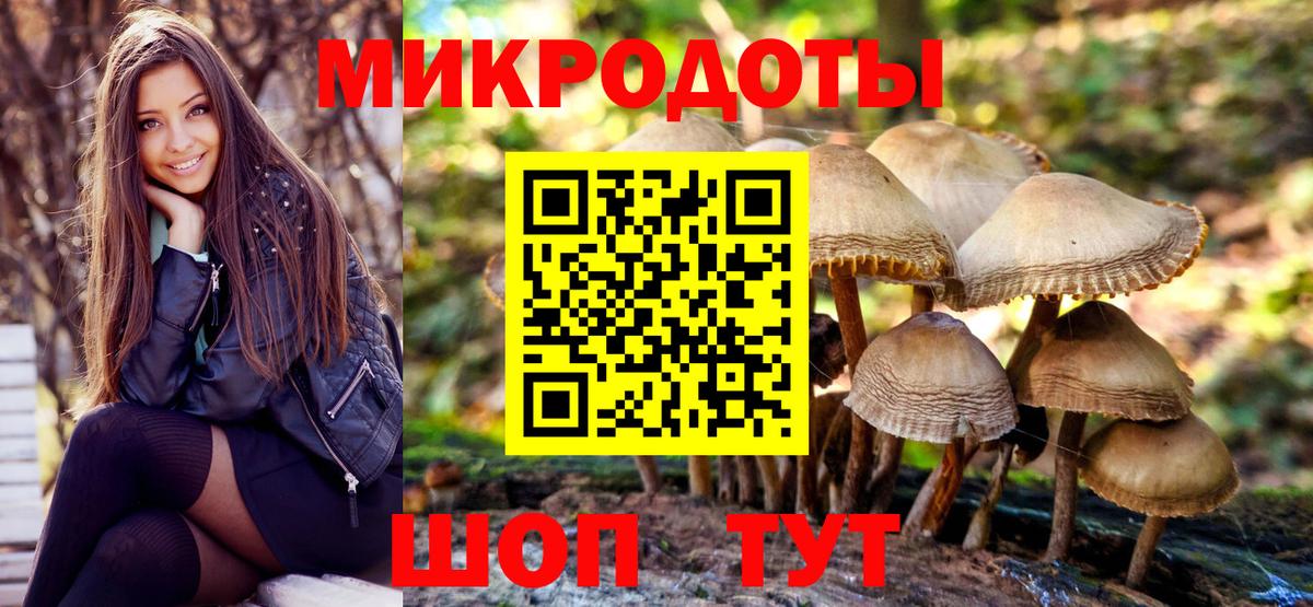Псилоцибиновые грибы Psilocybe Ртищево