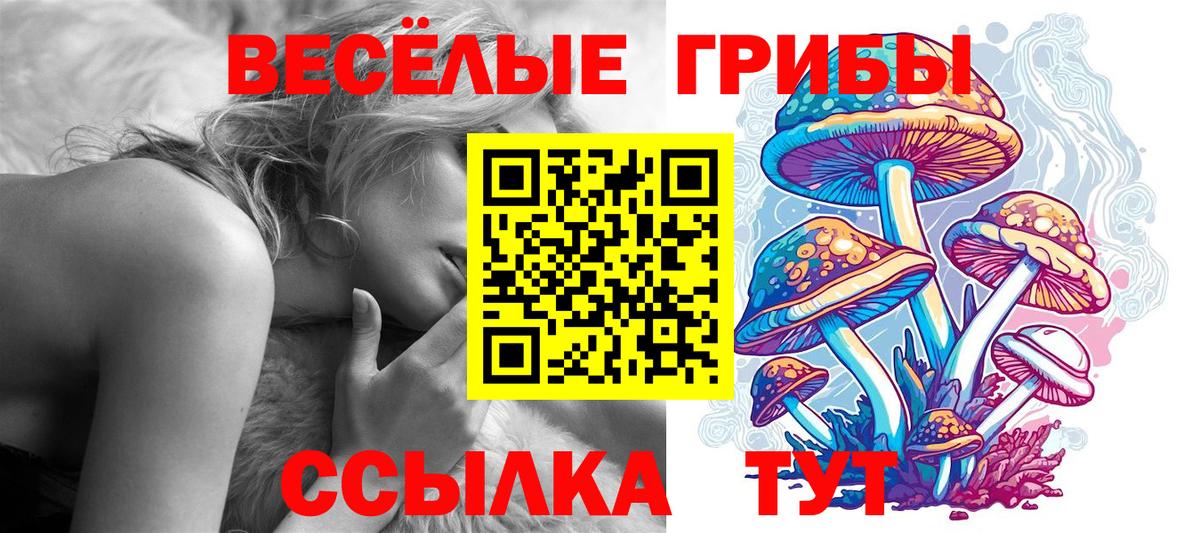 Ртищево  Галлюциногенные грибы мухоморы  Вход с VPN 